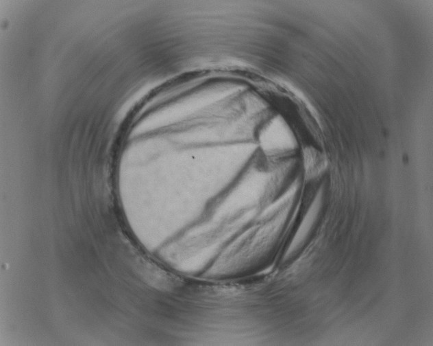 X0000076320975200610272000