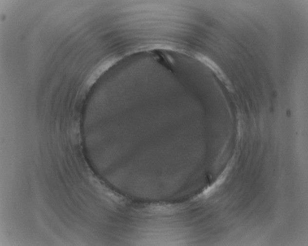 X0000076320977200610272000