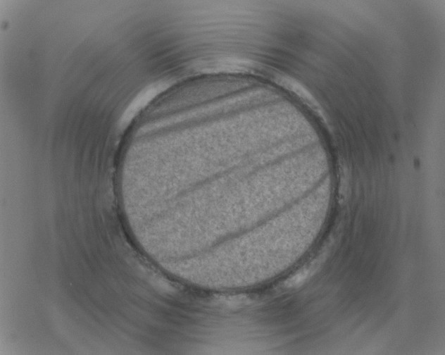 X0000076320978200610272000