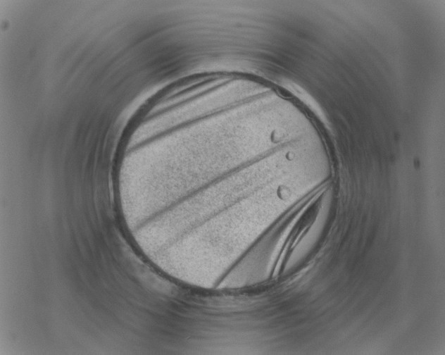 X0000076320980200610272000