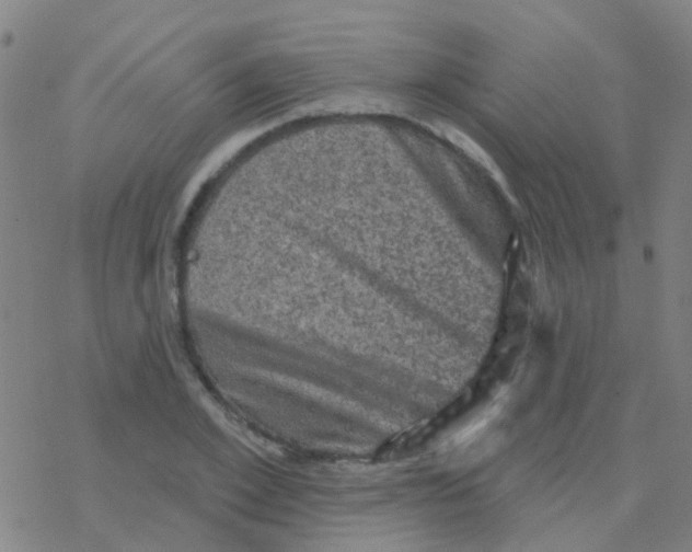 X0000076320981200610272000