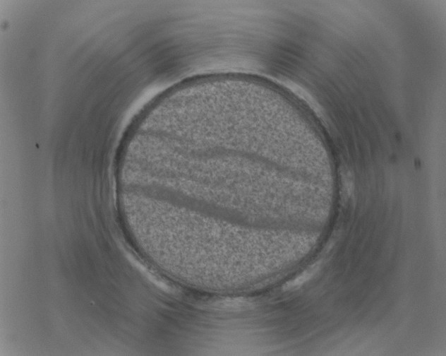 X0000076320982200610272000