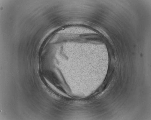 X0000076320984200610272000