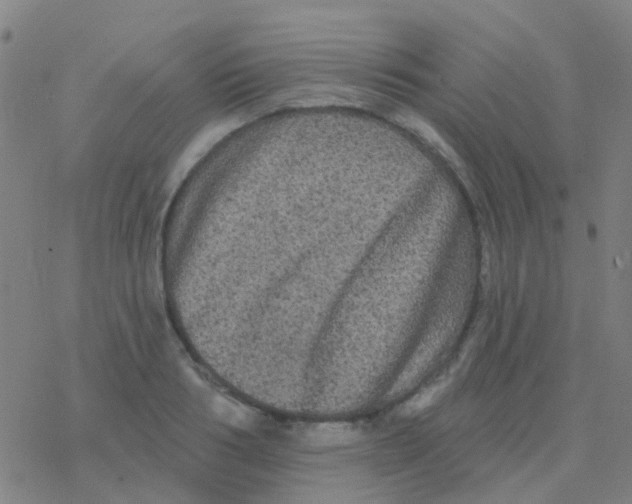 X0000076320986200610272000