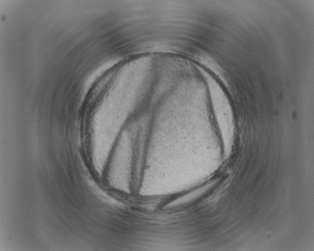 X0000076320987200610272000