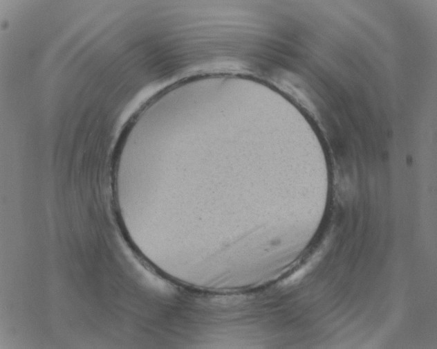 X0000076320989200610272000