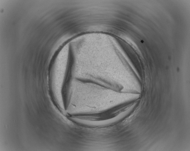 X0000076320992200610272000