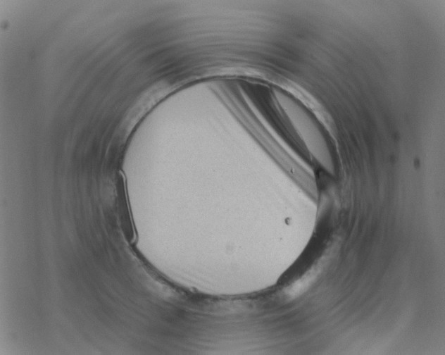 X0000076320993200610272000