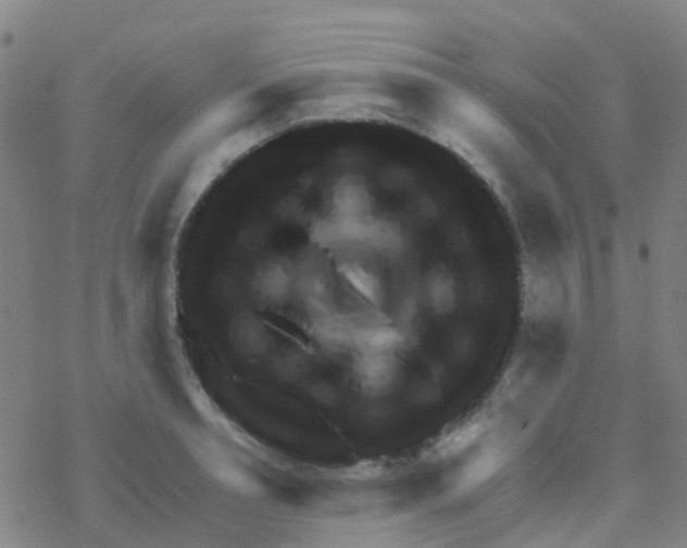 X0000076320994200610272000