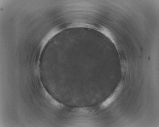 X0000076320995200610272000