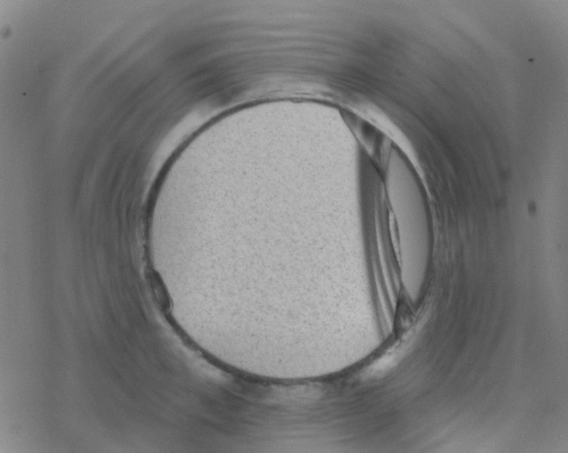 X0000076320997200610272000