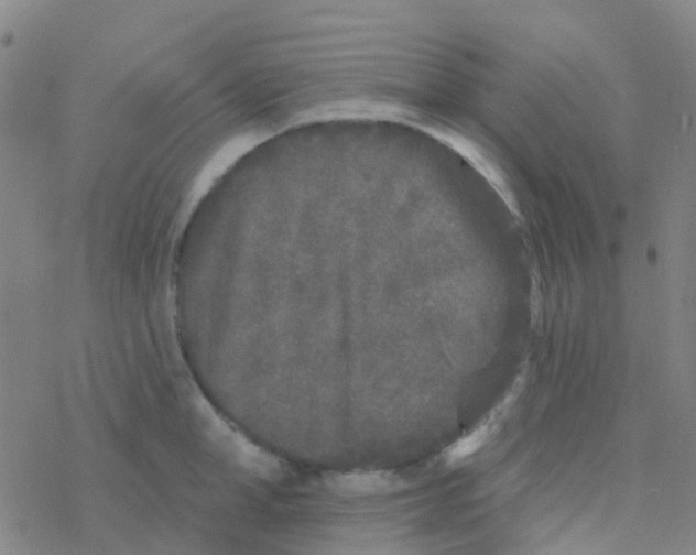 X0000076320998200610271959