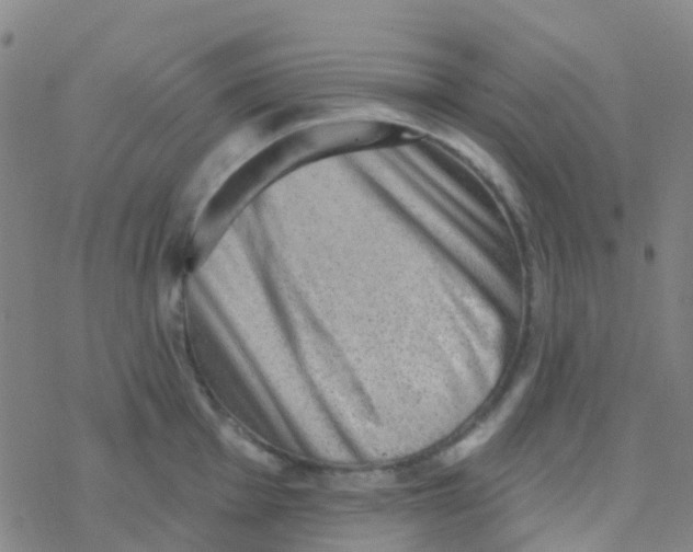 X0000076321001200610271959