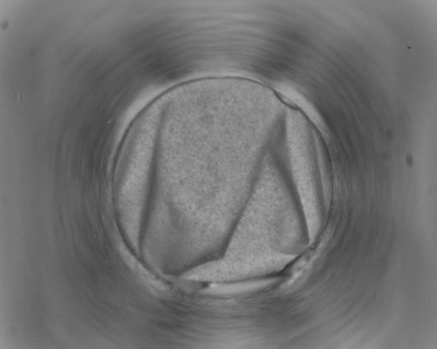 X0000076321004200610271959