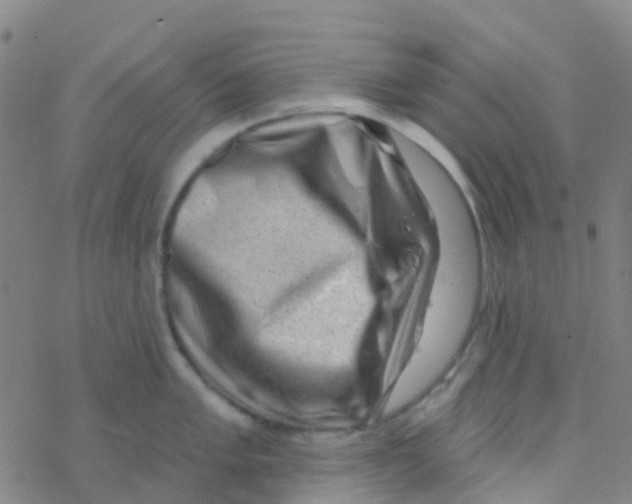 X0000076321005200610271959