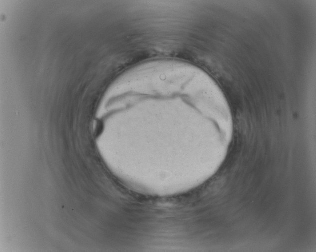 X0000076321009200610271958