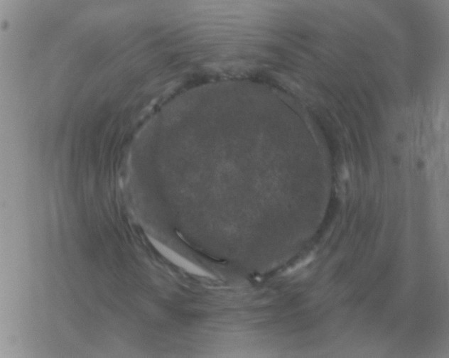 X0000076321010200610271958