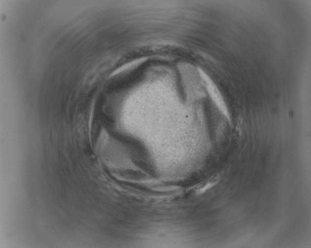 X0000076321014200610271959