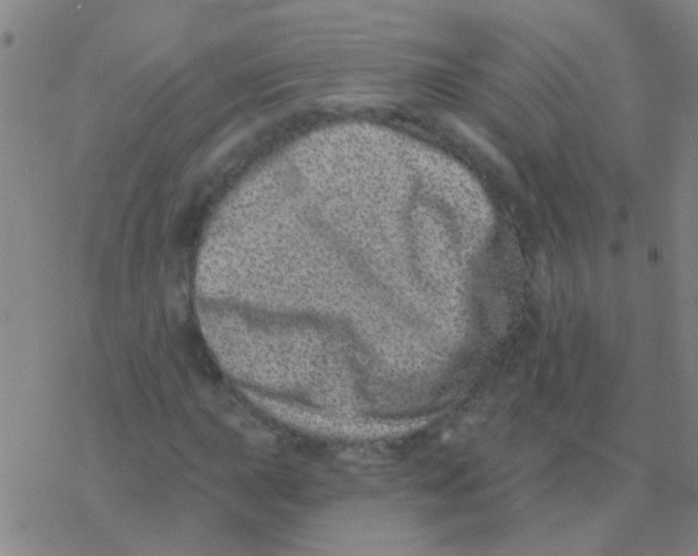 X0000076321015200610271959