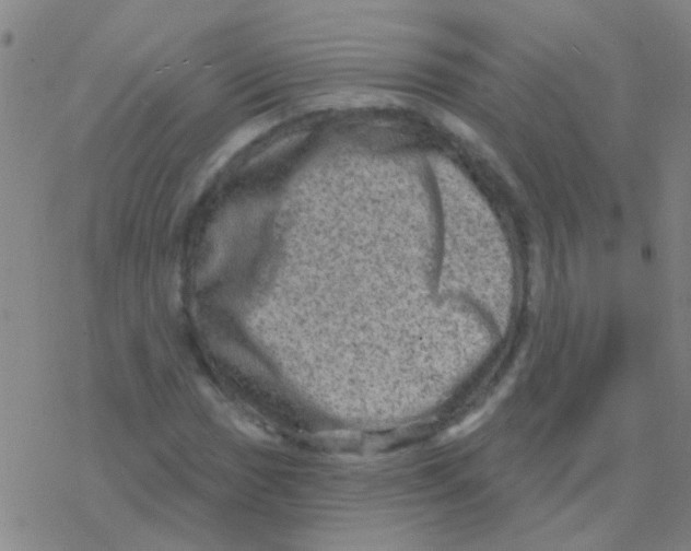 X0000076321017200610271959