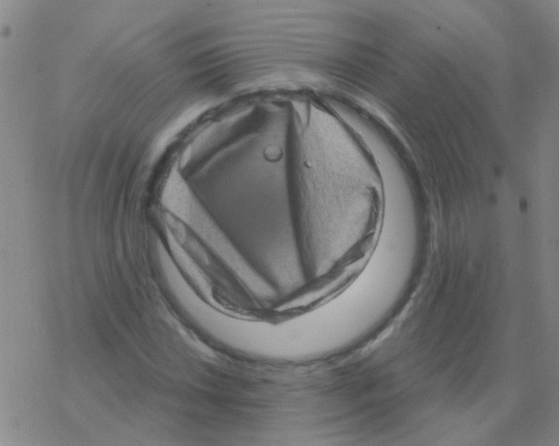 X0000076321018200610271959