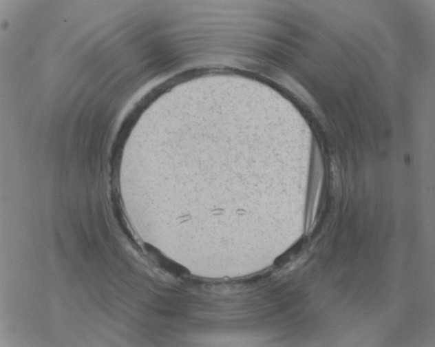 X0000076321020200610271959