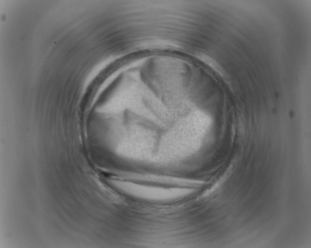 X0000076321022200610271959