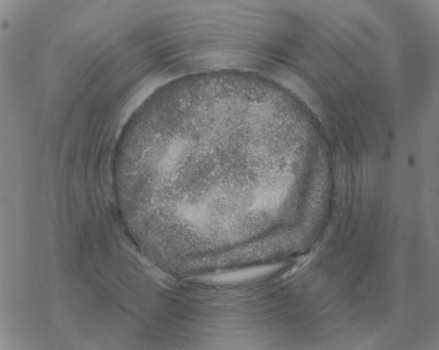 X0000076321023200610271959