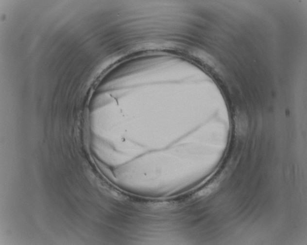 X0000076321025200610271959