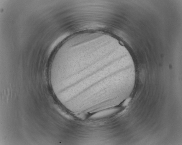 X0000076321026200610271959