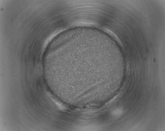 X0000076321027200610271959