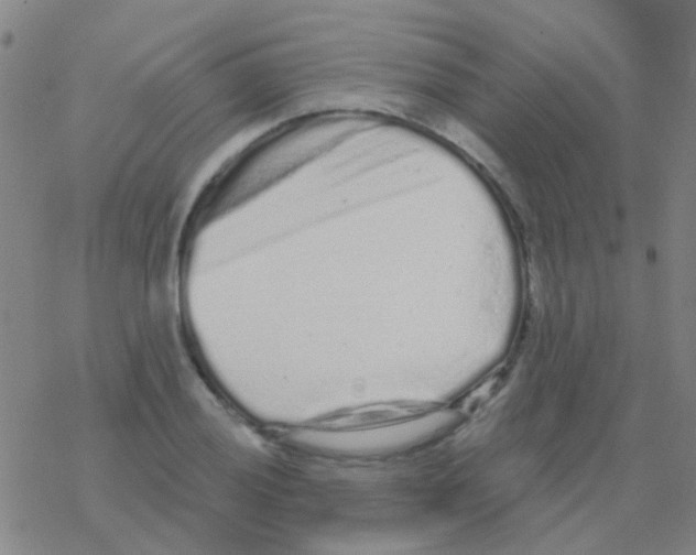 X0000076321028200610271959