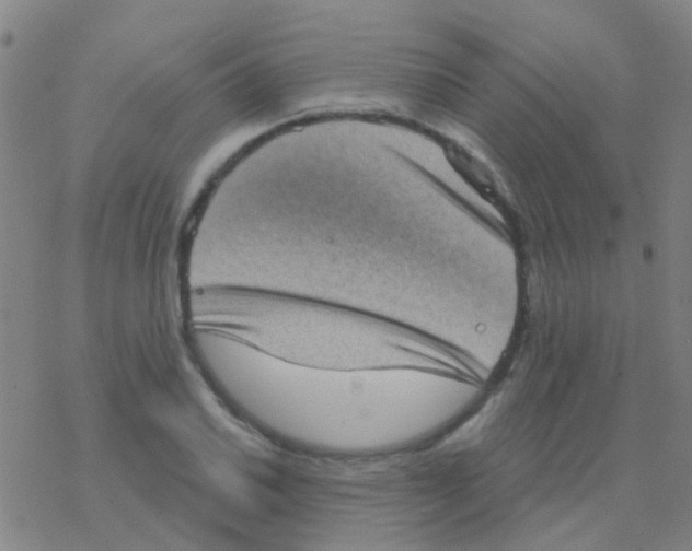 X0000076321030200610271959