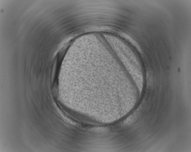 X0000076321033200610271959