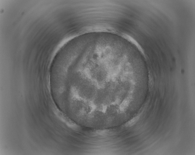 X0000076321035200610271959