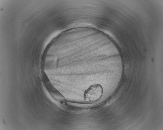 X0000076321038200610271959