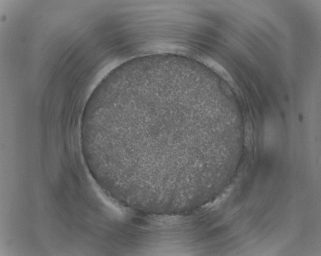 X0000076321039200610271959