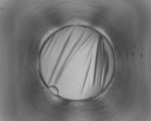 X0000076321040200610271959