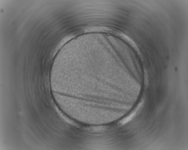 X0000076321041200610271959