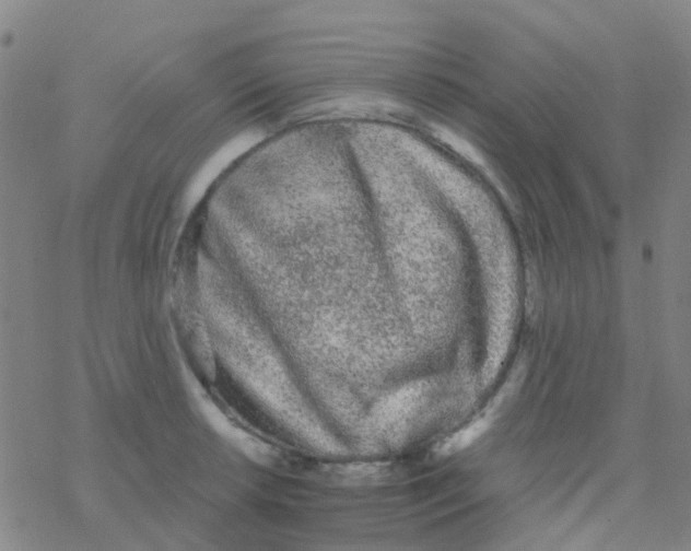 X0000076321042200610271959