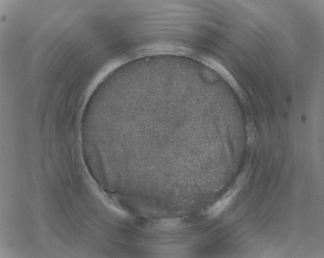 X0000076321043200610271959