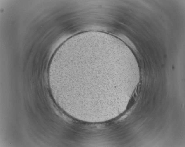 X0000076321044200610271959