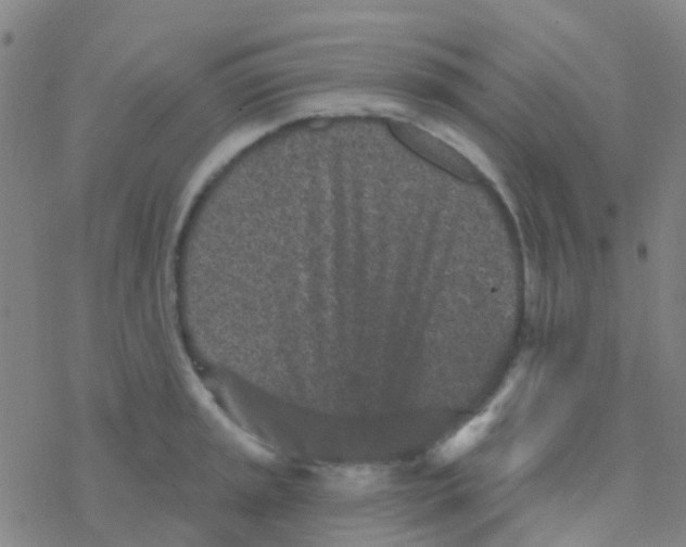 X0000076321045200610271959