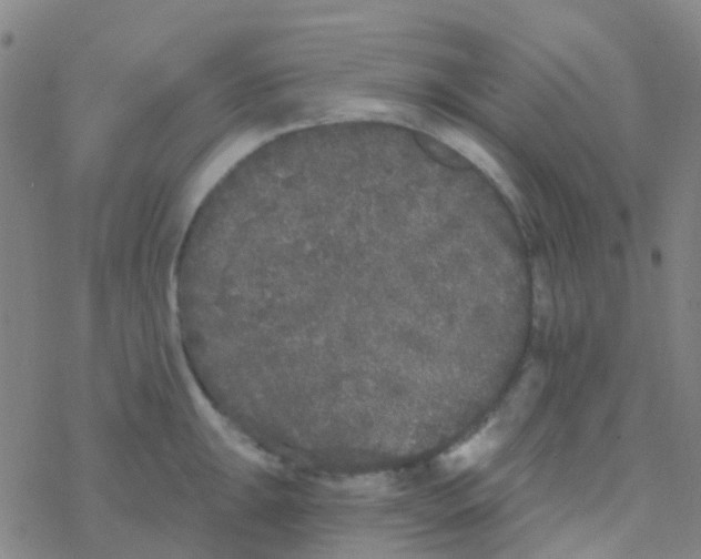 X0000076321047200610271959