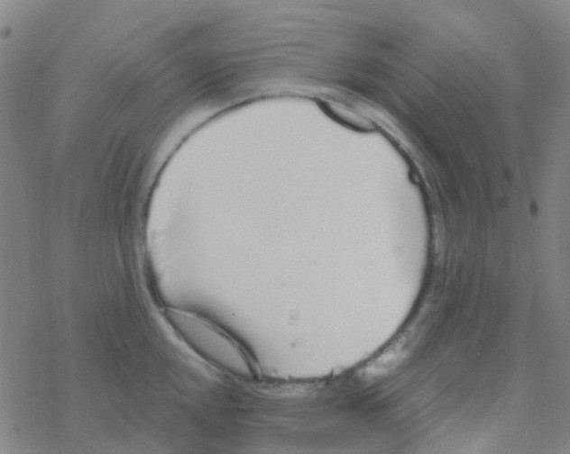 X0000076321048200610271959