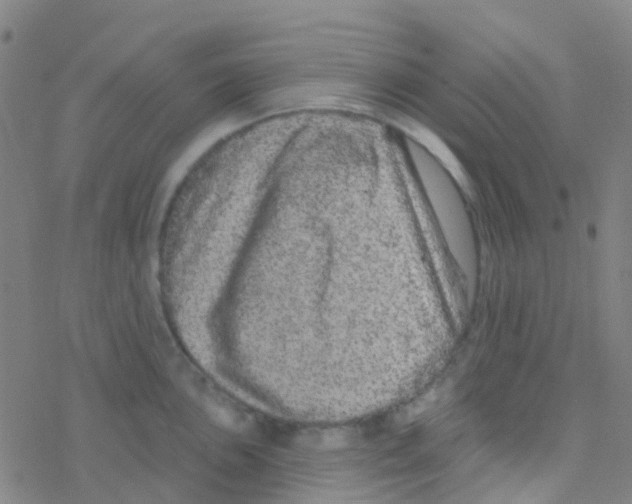 X0000076321051200610271959