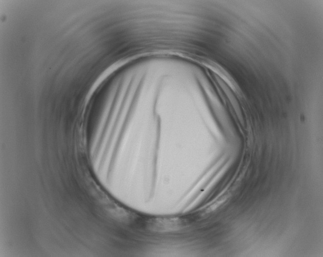 X0000076321052200610271959