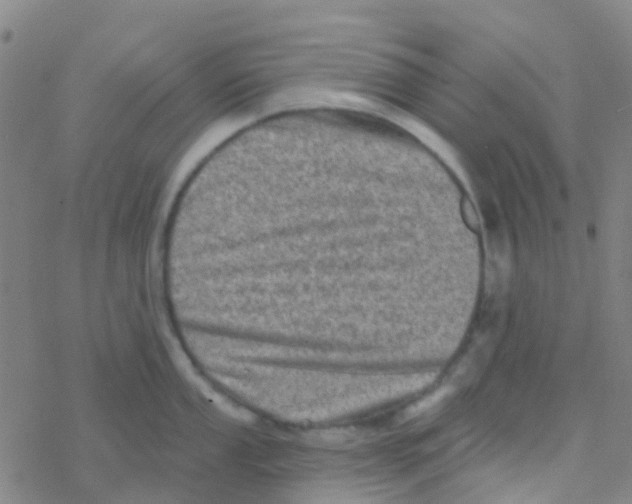 X0000076321053200610271959