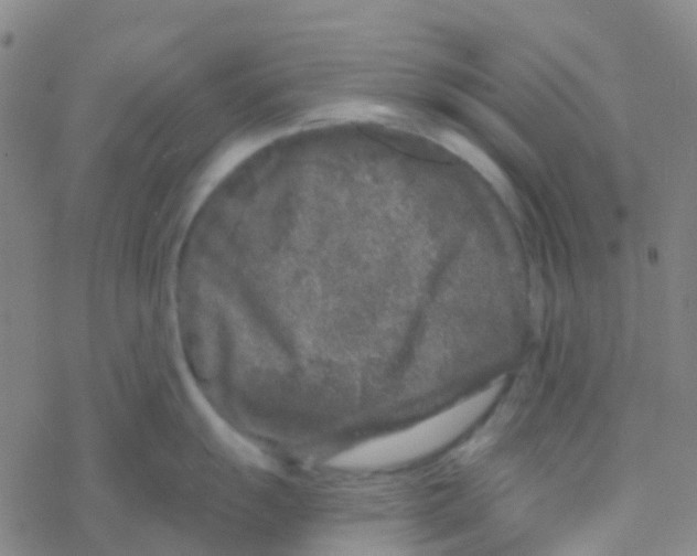 X0000076321055200610271959