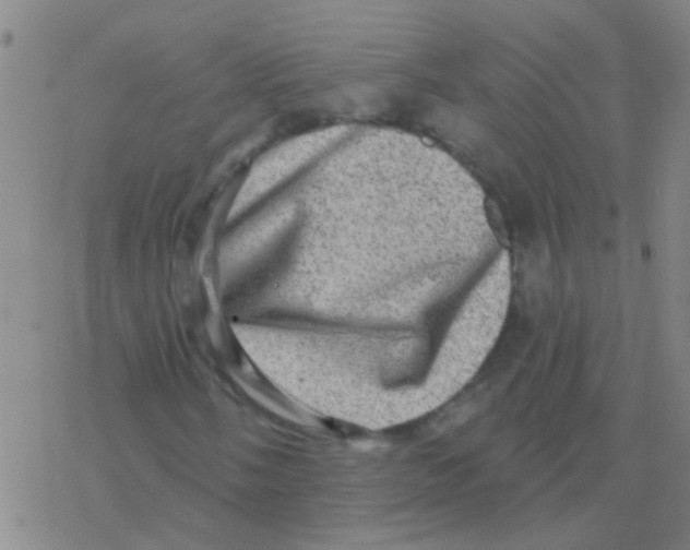 X0000076321058200610271958